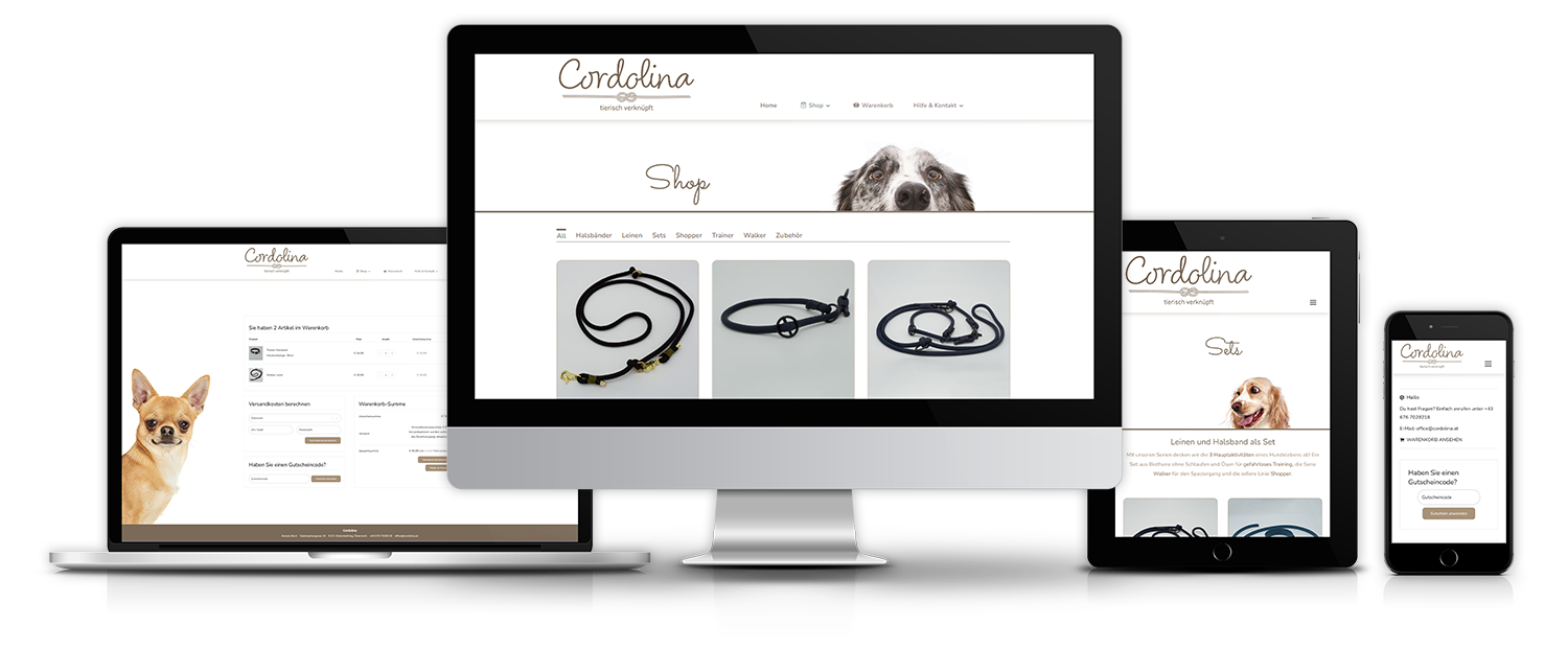 website-responsive-vorschau